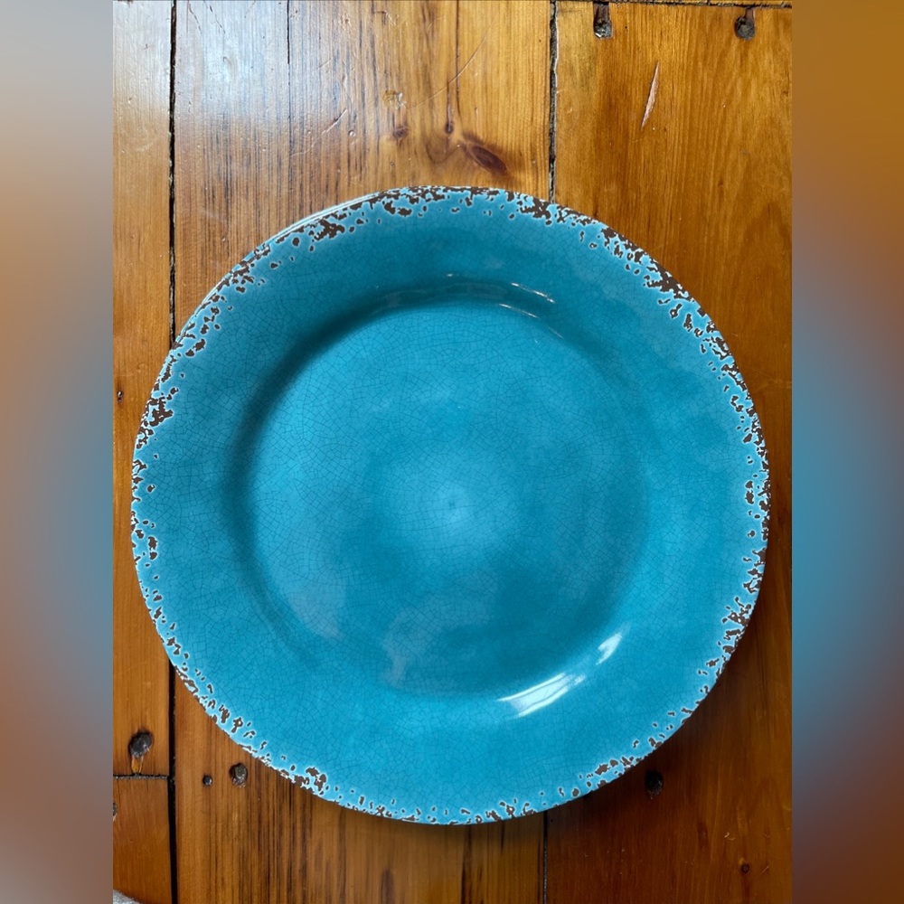 Tommy Bahama ~  Blue Melamine Plates - 4 Dinner Plates
